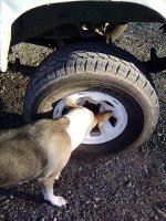 IMG_20200205_082239228.jpg