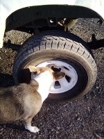 IMG_20200205_082242623.jpg