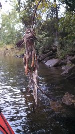 IMG_20130902_134547_883.jpg