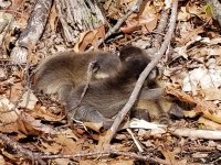 20180504_135424.jpg