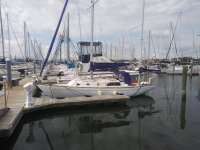 20200806_094757.jpg