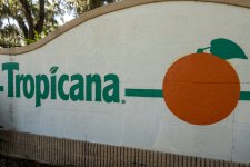 89B35F68-B455-4127-85E3-638167DE3454.jpeg