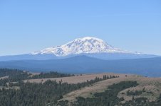 DSC_0326-1.jpg