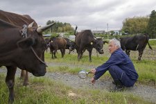 fukushima-radioactive-disaster-abandoned-animal-guardian-naoto-matsumura-2.jpg