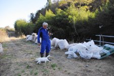 fukushima-radioactive-disaster-abandoned-animal-guardian-naoto-matsumura-3.jpg