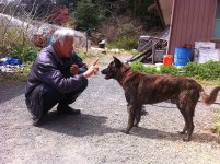 fukushima-radioactive-disaster-abandoned-animal-guardian-naoto-matsumura-7.jpg