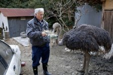 fukushima-radioactive-disaster-abandoned-animal-guardian-naoto-matsumura-11.jpg