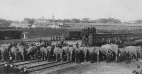 Ringling_Brothers_trains1.jpg