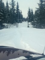 IMG_20210308_181021579.jpg