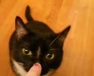 kittyboop.JPG
