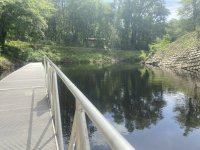 IMG_2237.JPEG