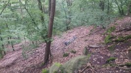 IMG_20210716_124523264.jpg