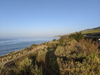 IMG_20210504_065129.jpg