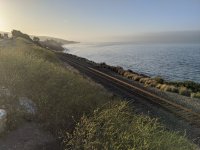 IMG_20210504_065341.jpg