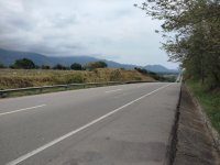 IMG_20220330_112839.jpg