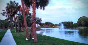 IMG_20220524_062620683~2.jpg