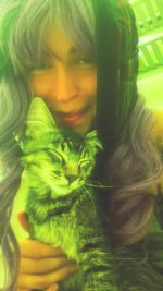 gatogreen.jpg