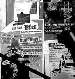IMG_5273.jpeg