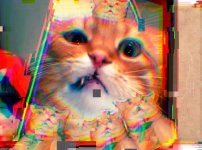 IMG_5458.jpeg