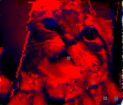 IMG_5457.jpeg