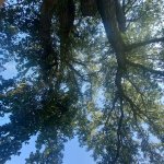 20230823_104606.jpg