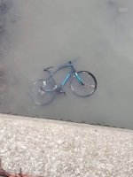 bike.jpg
