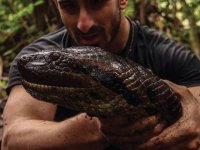 eaten-alive.jpg