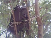 img0066a.jpg