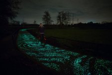 van-gogh-roosegaarde-glow-in-the-dark-bicycle-path-eindhoven-netherlands-4.jpg