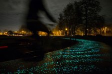 van-gogh-roosegaarde-glow-in-the-dark-bicycle-path-eindhoven-netherlands-5.jpg