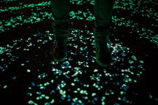 van-gogh-roosegaarde-glow-in-the-dark-bicycle-path-eindhoven-netherlands-1.jpg