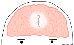 AV-1024x623.png