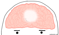 AV-small-1024x623.png