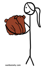 small-mammoth.png