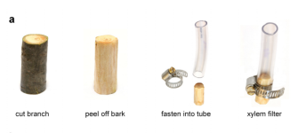 Xylem%20filter.png
