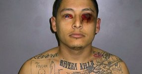ms-13.jpg