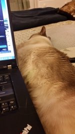 20150703_013923.jpg