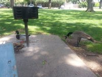 20150423_134917.jpg