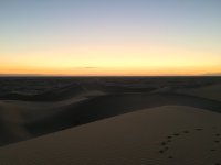 IMG_3881.JPG
