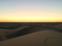 IMG_3883.JPG