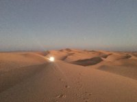 IMG_3888.JPG