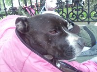 20151005_082452.jpg