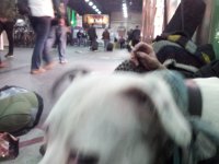 20151007_202256.jpg