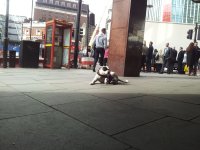 20151008_133741.jpg