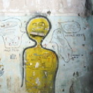syphilust