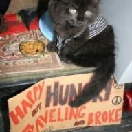 Meowzer
