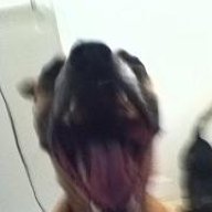 Shakou