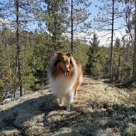 Erika