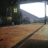 DdRyn