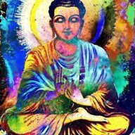 trippyhippie13